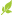 Leaf_tiny3